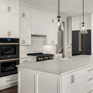 ZLINE 48" Autograph Edition Kitchen Package with Black Stainless Steel Dual Fuel Range, Range Hood, Dishwasher and Refrigeration with Gold Accents